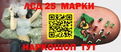 шишки Наро-Фоминск