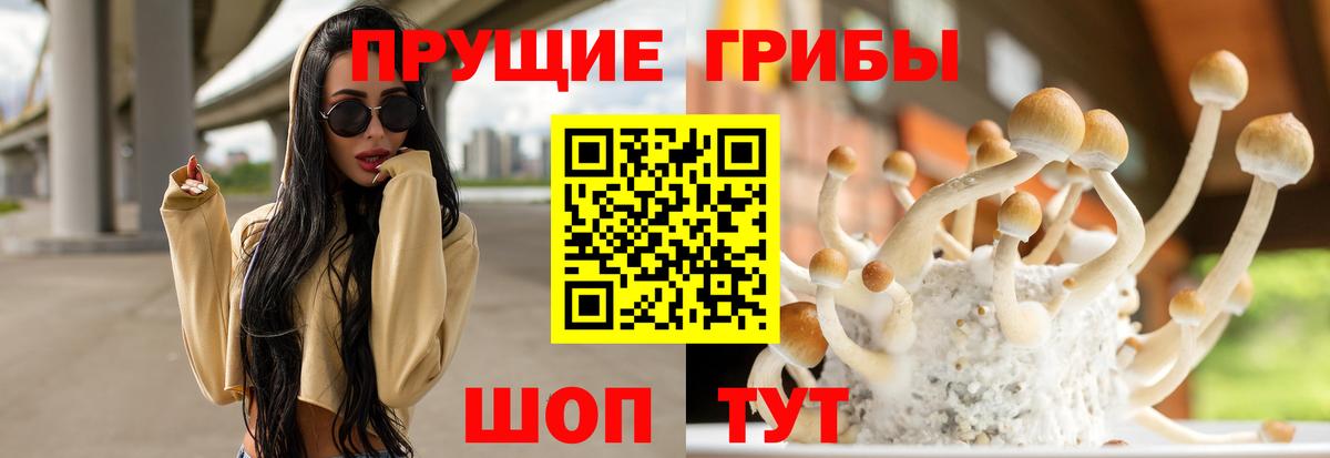 Псилоцибиновые грибы ЛСД  Вход с VPN  хочу наркоту  Псилоцибиновые грибы мухоморы  Ульяновск 